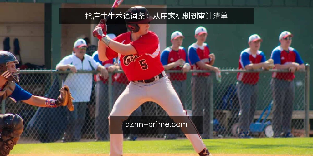 抢庄牛牛术语词条:从庄家机制到审计清单 — 为何现在审计抢庄牛牛术语 配图