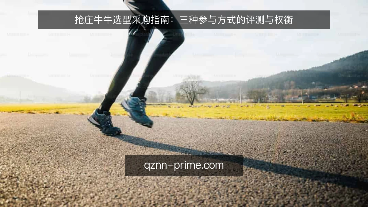 抢庄牛牛选型采购指南：三种参与方式的评测与权衡