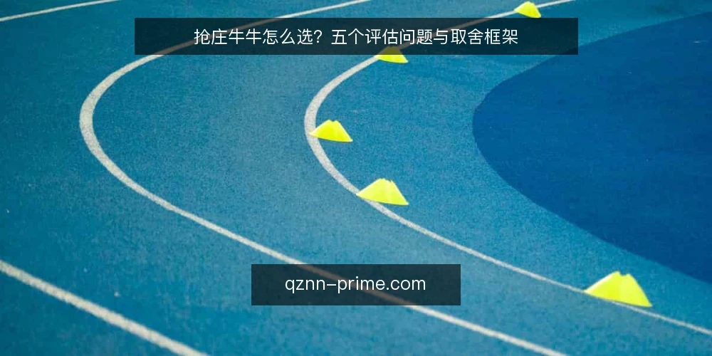 抢庄牛牛怎么选？五个评估问题与取舍框架 — 我们需要定义什么？ 配图