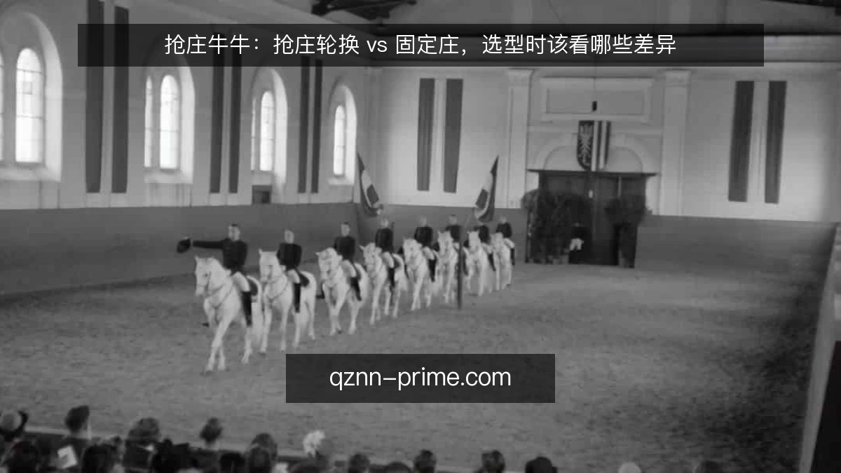 抢庄牛牛：抢庄轮换 vs 固定庄，选型时该看哪些差异